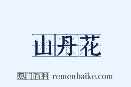 山丹花是什么意思的图片